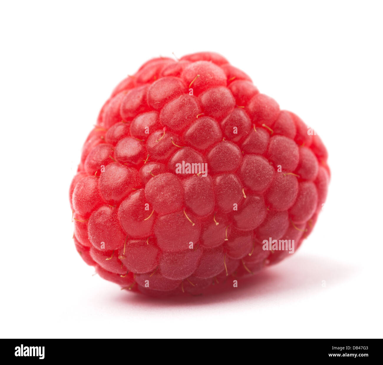 Red berries plant detail Cut Out Stock Images & Pictures - Alamy