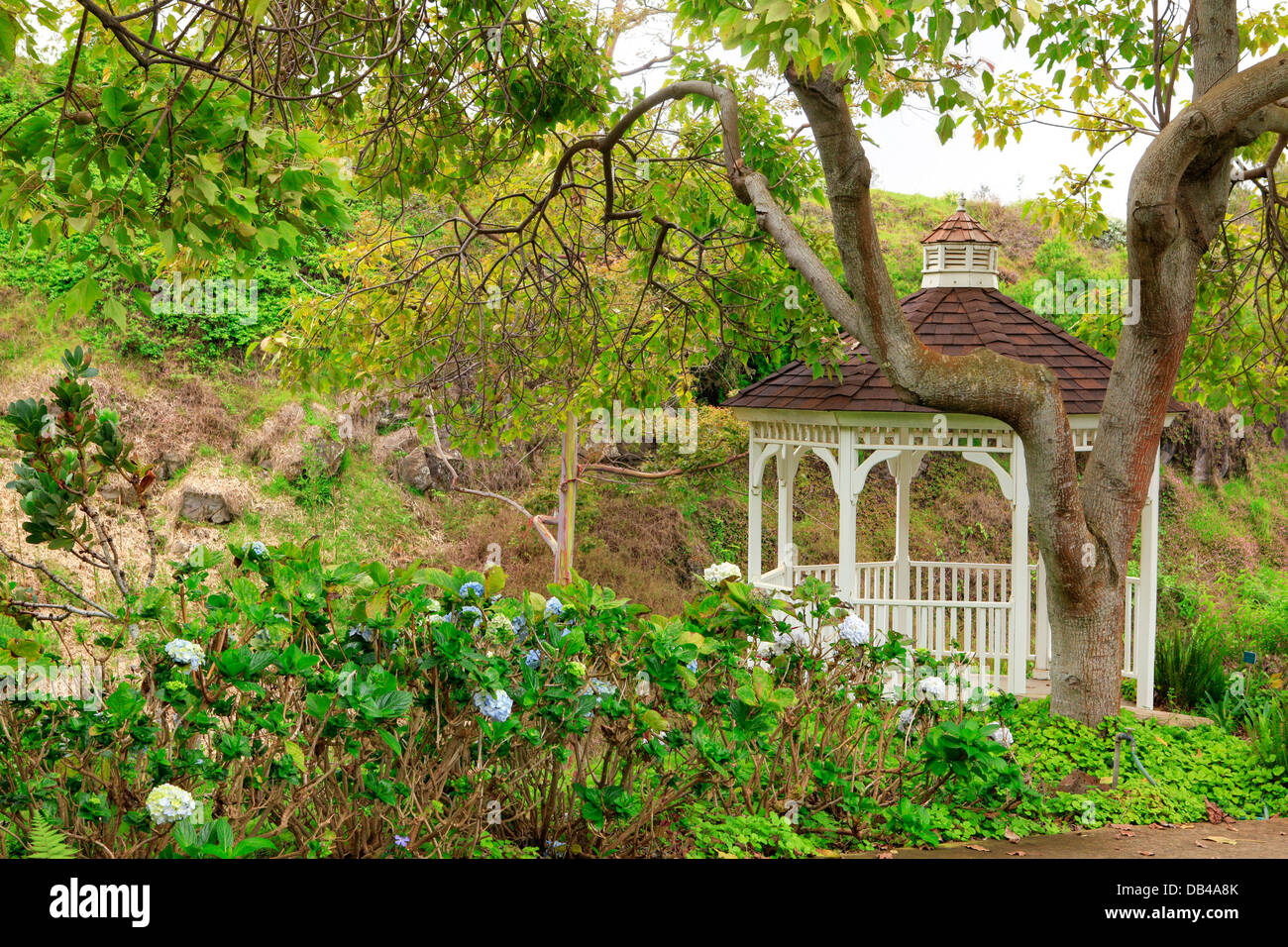 Kula Botanical Garden. Maui. Hawaii. White gazebo. Tropical landscape