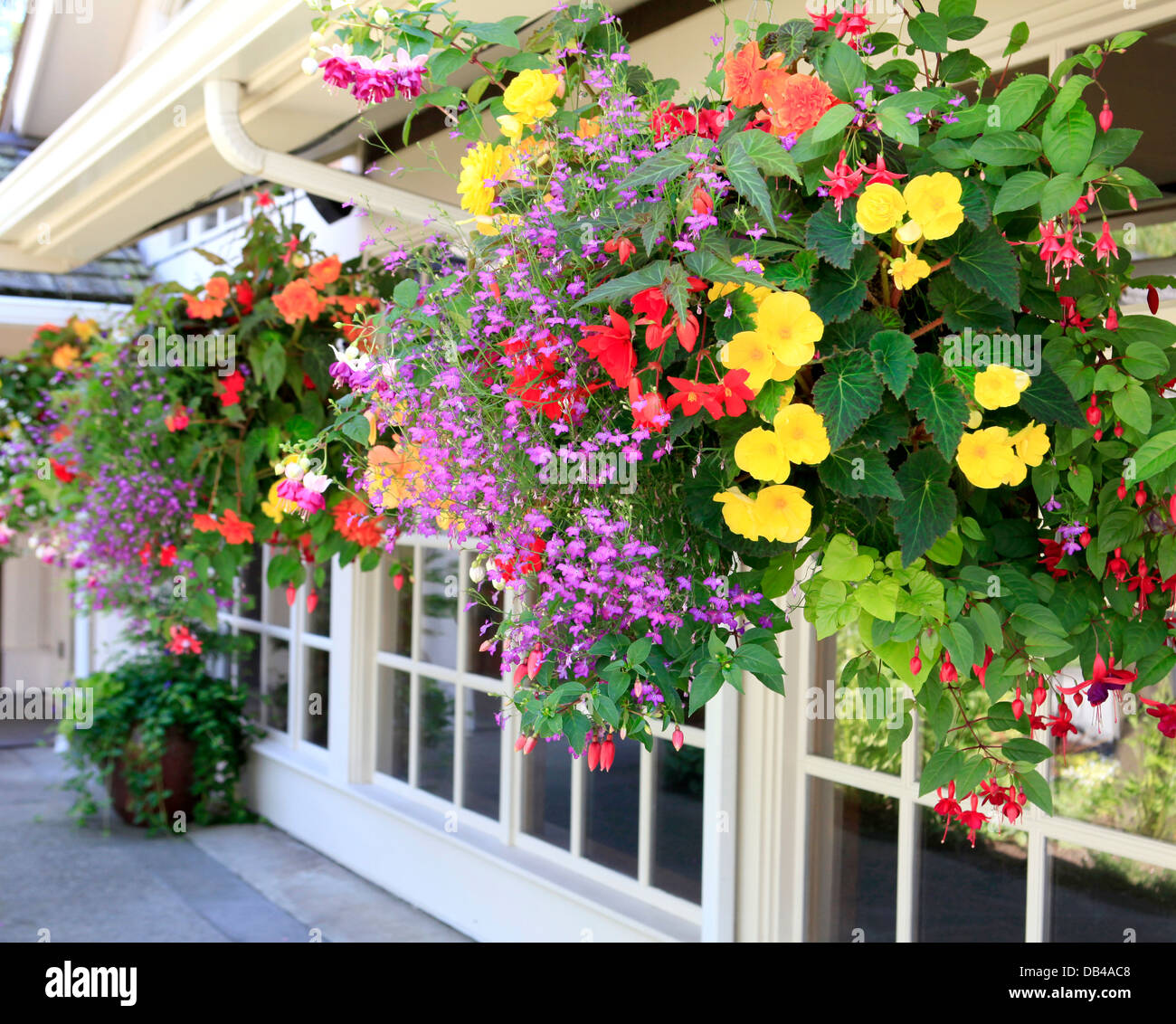 Many hanging baskets with flowers outside of house windows Stock Photo