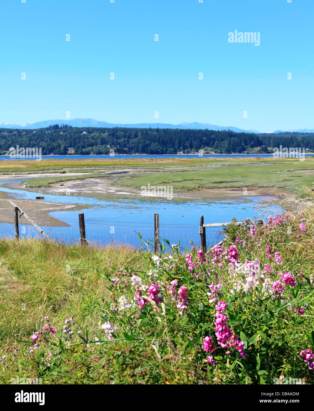 Marrowstone island. Olympic Peninsula. Washington State Stock Photo Alamy
