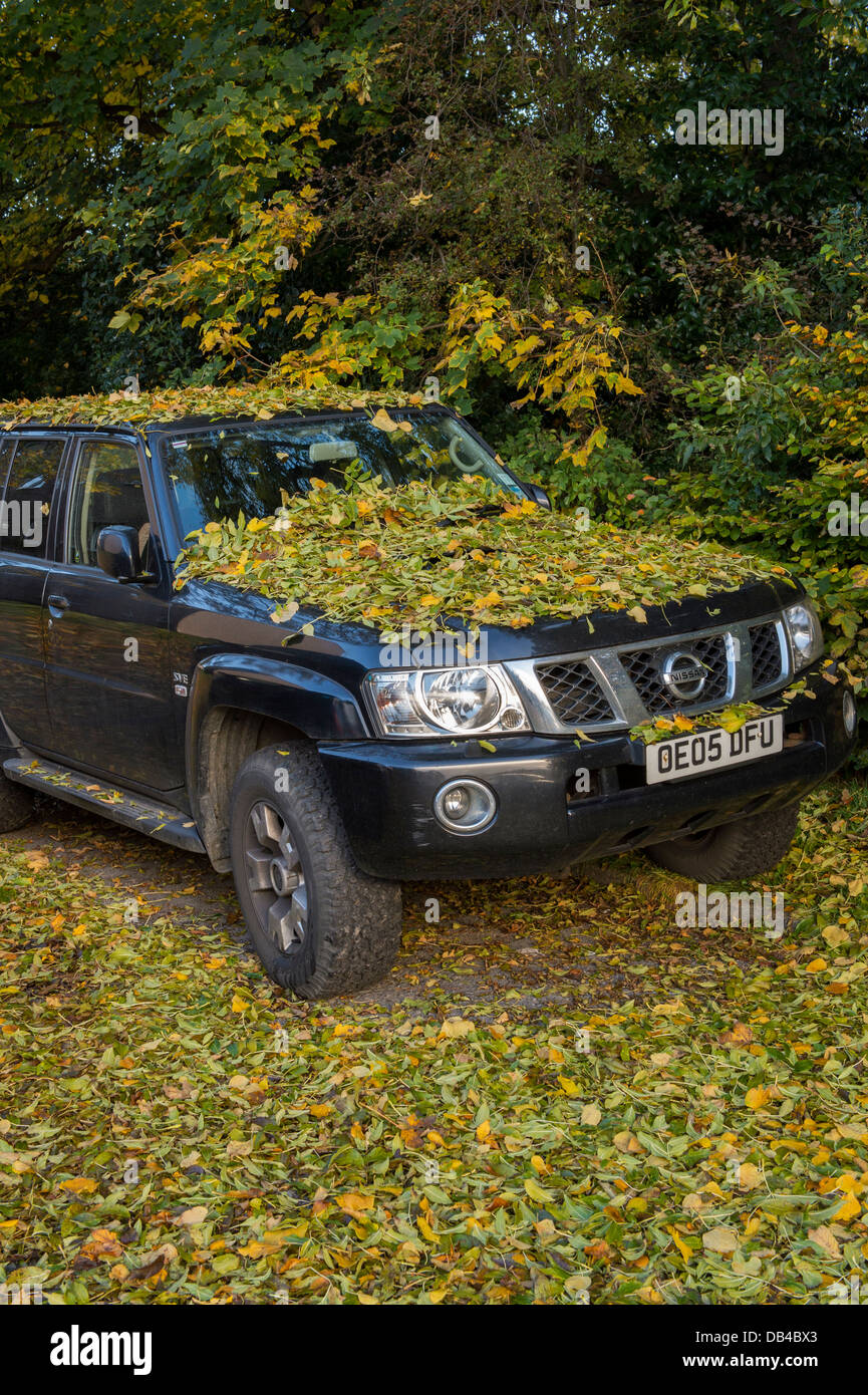 Autumn time and the bonnet & roof of a Nissan Navara parked by trees, are blanketed in a pile of fallen leaves - Baildon, West Yorkshire, England, UK. Stock Photo