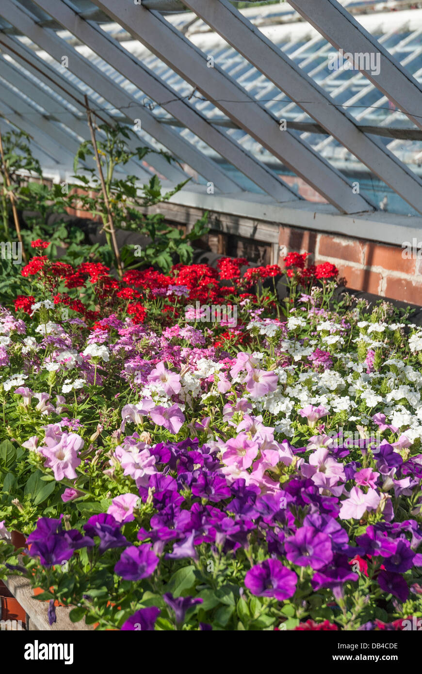 Victorian greenhouse hi-res stock photography and images - Alamy