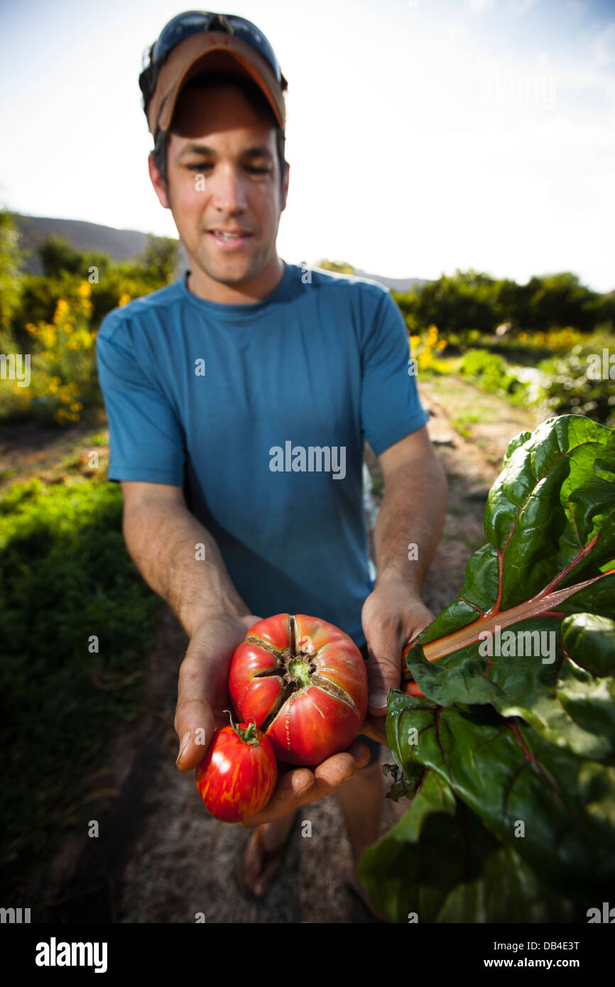 Chris Conrad standing with some tomatoes from his garden at Mulberry Grove, Moab, Utah. Stock Photo