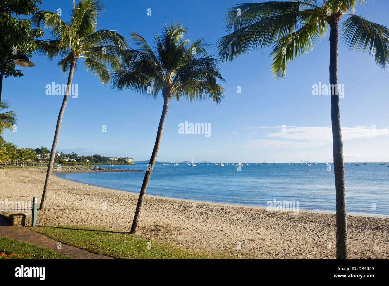 Beach at the Whitsunday's township of Airlie Beach. Whitsundays, Queensland, Australia Stock Photo