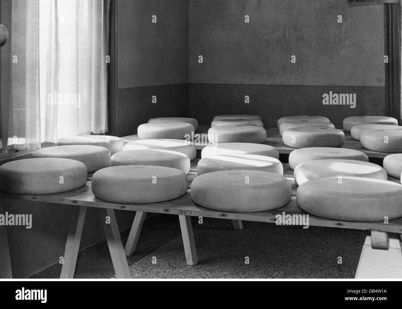 food, cheese, Gouda cheese wheels ripening in the cheese chamber, Netherlands, 1951, Additional-Rights-Clearences-Not Available Stock Photo