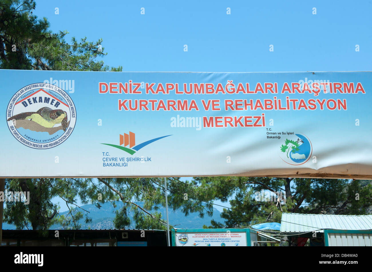 Türkei, Provinz Mugla, Dalyan, Schildkröten-Krankenhaus am Iztuzu-Strand bei der Ortschaft Gökbel Stock Photo