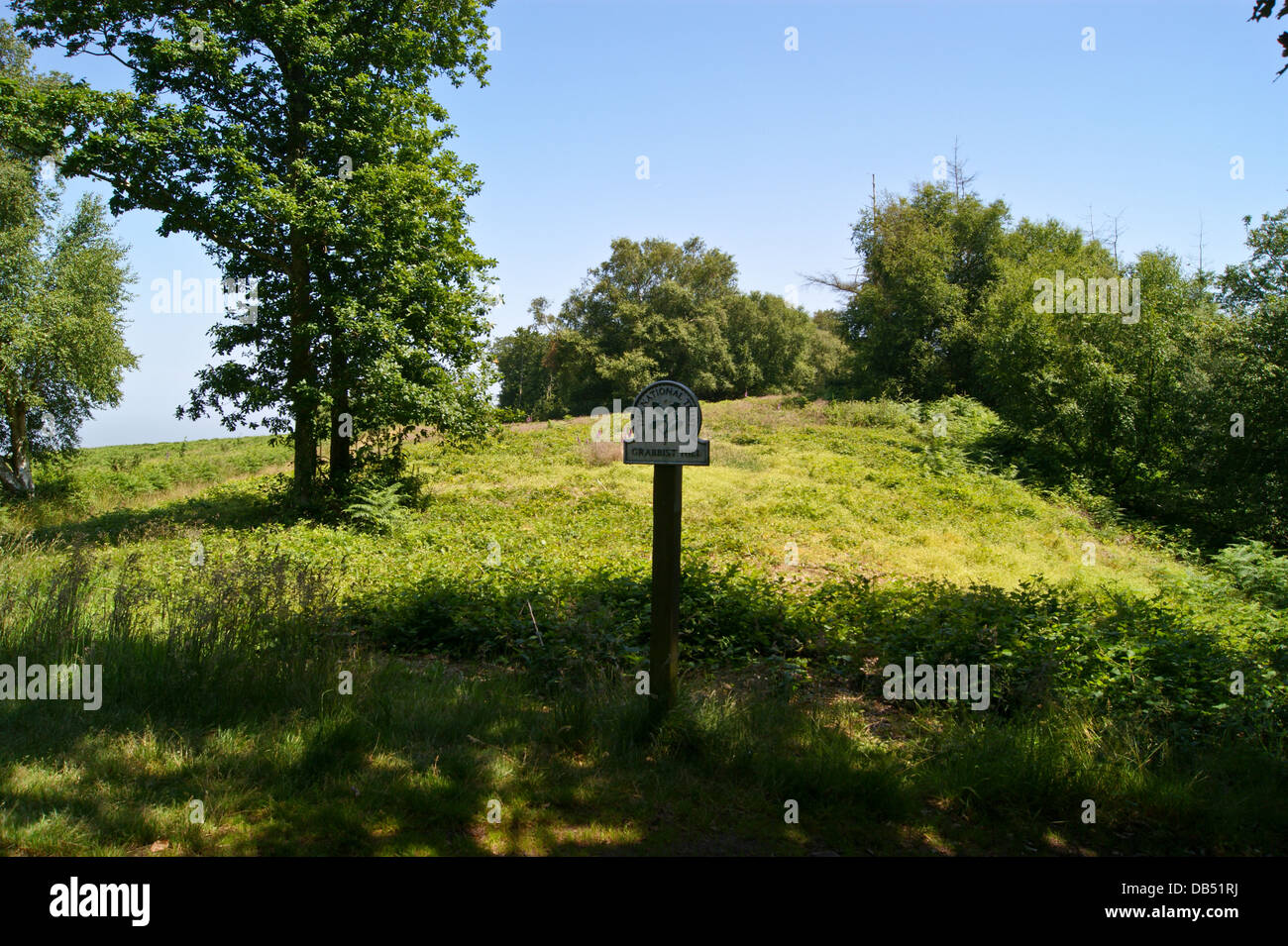Grabbist Hill near Dunster seen from the Macmillan Way West long