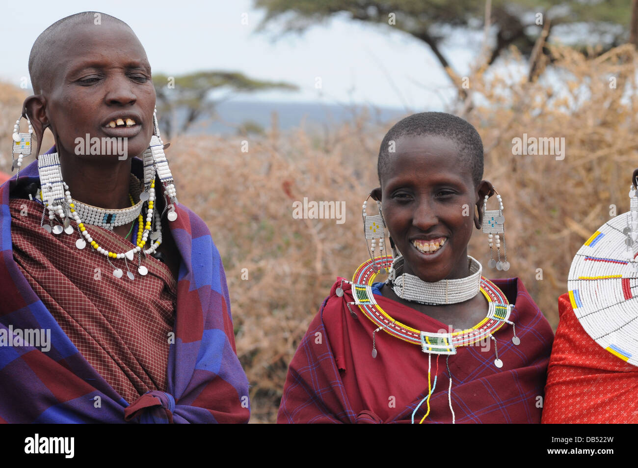 Africa, Tanzania, Maasai tribe an ethnic group of semi-nomadic people. A group of women Stock Photo