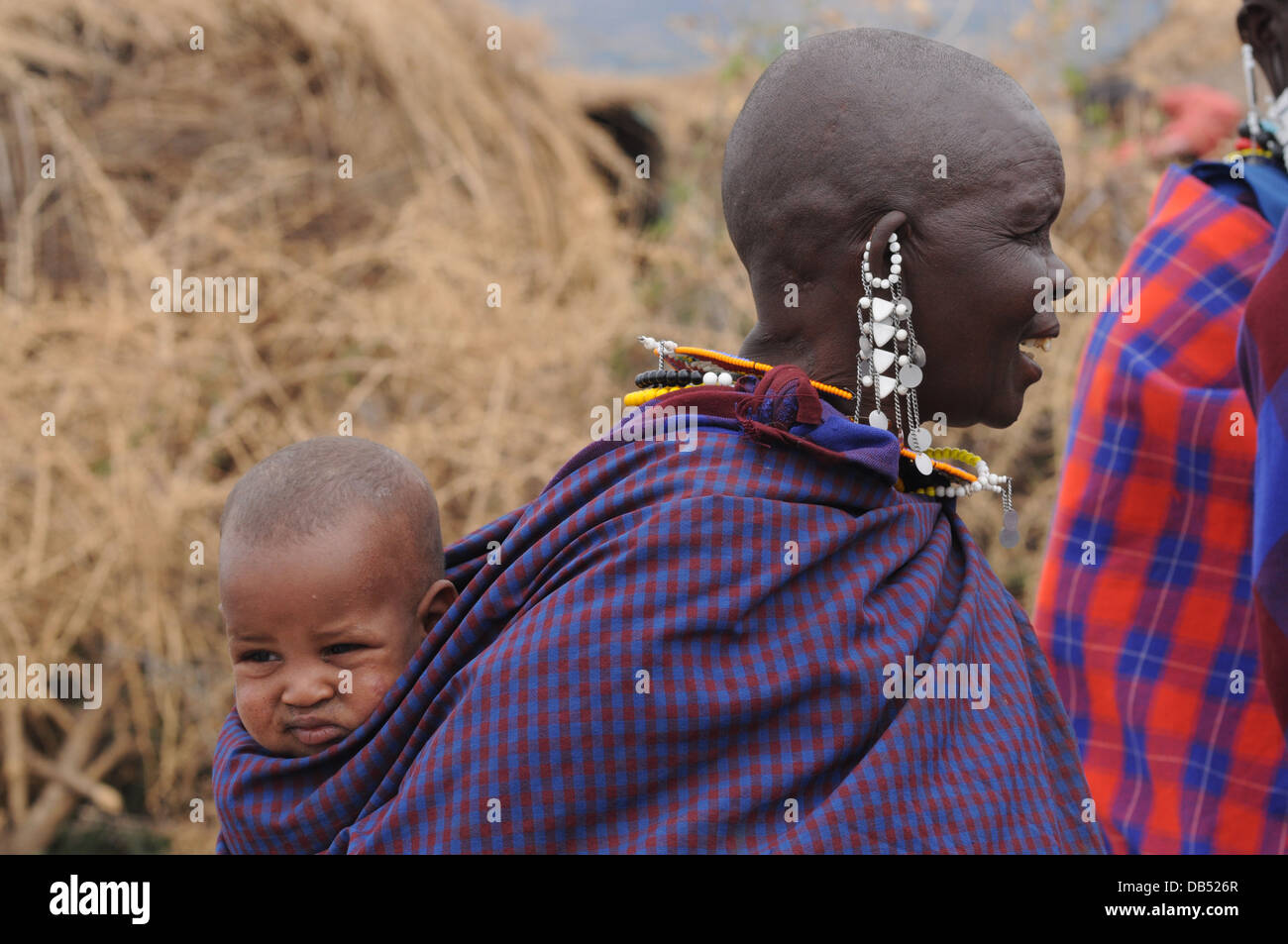 Africa, Tanzania, Maasai tribe an ethnic group of semi-nomadic people. A group of women Stock Photo