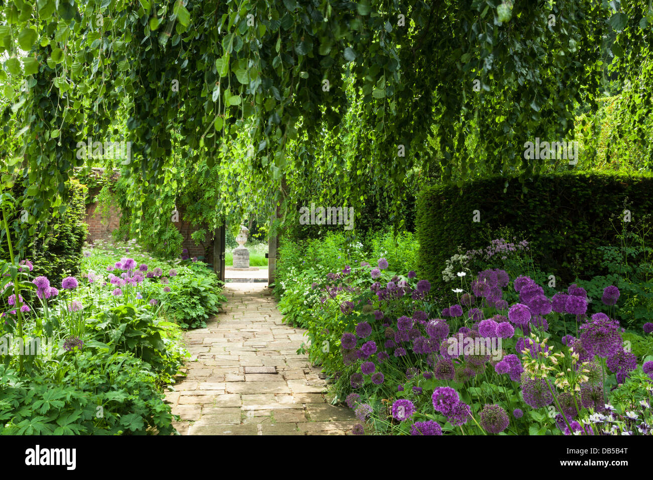 The early summer borders of the Terrace Garden framed by a weeping beech tree, Cottesbrooke Hall, Northamptonshire, England Stock Photo