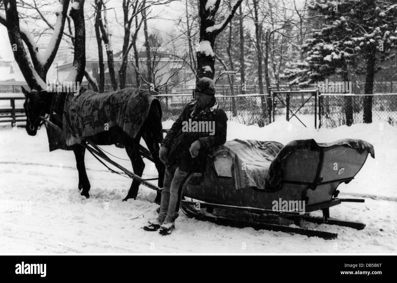 people, men, with animals, coachman with sleigh in Zakopane, Poland, 26.12.1941, Additional-Rights-Clearences-Not Available Stock Photo