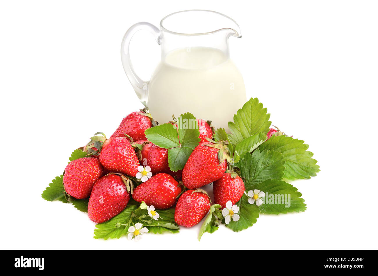 Glass jug full of milk, strawberries with green leaves and flowers on white background Stock Photo
