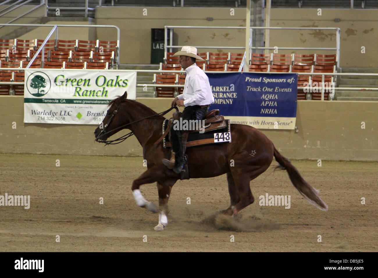 Atmosphere The 21st Annual 'Priceline Hollywood Charity Horse Show
