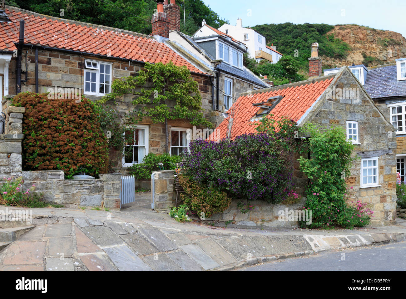 Cottages And Gardens In Runswick Bay North Yorkshire North York