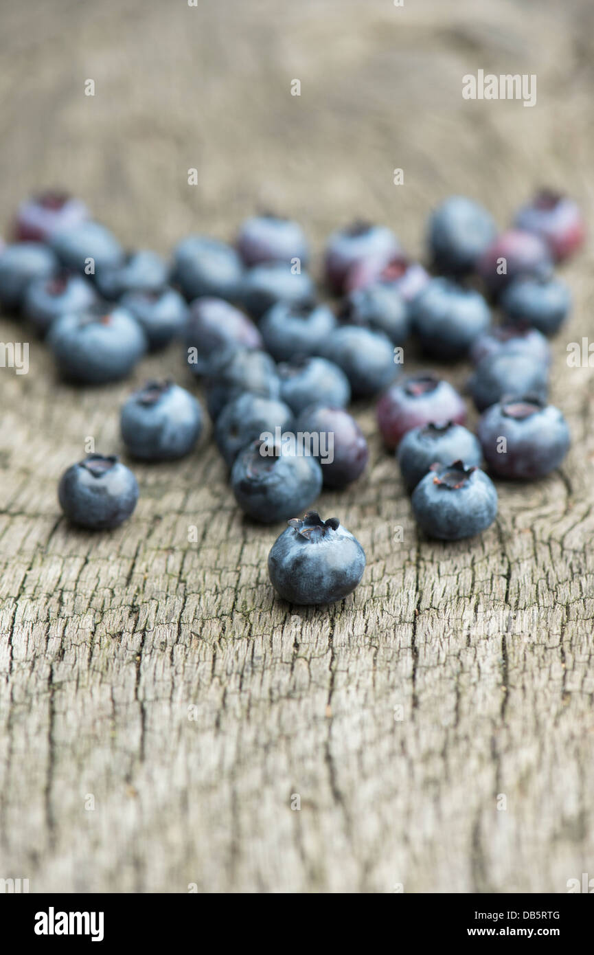 Vaccinium corymbosum. Picked Blueberry Spartan fruit on wood Stock Photo