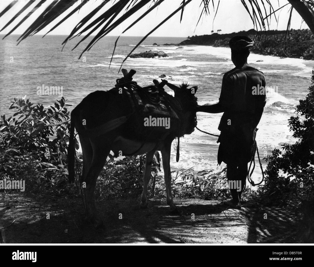 Trinidad Tobago Black And White Stock Photos Images Alamy trinidad-tobago-black-and-white-stock-photos-images-alamy