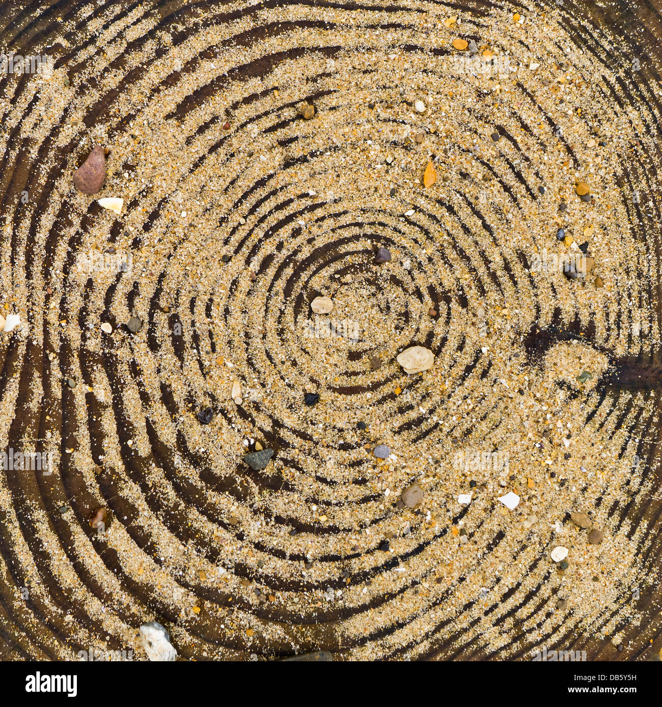 The top of a wooden post at the coast, part of a groyne, showing concentric circles, sand and small stones. Stock Photo