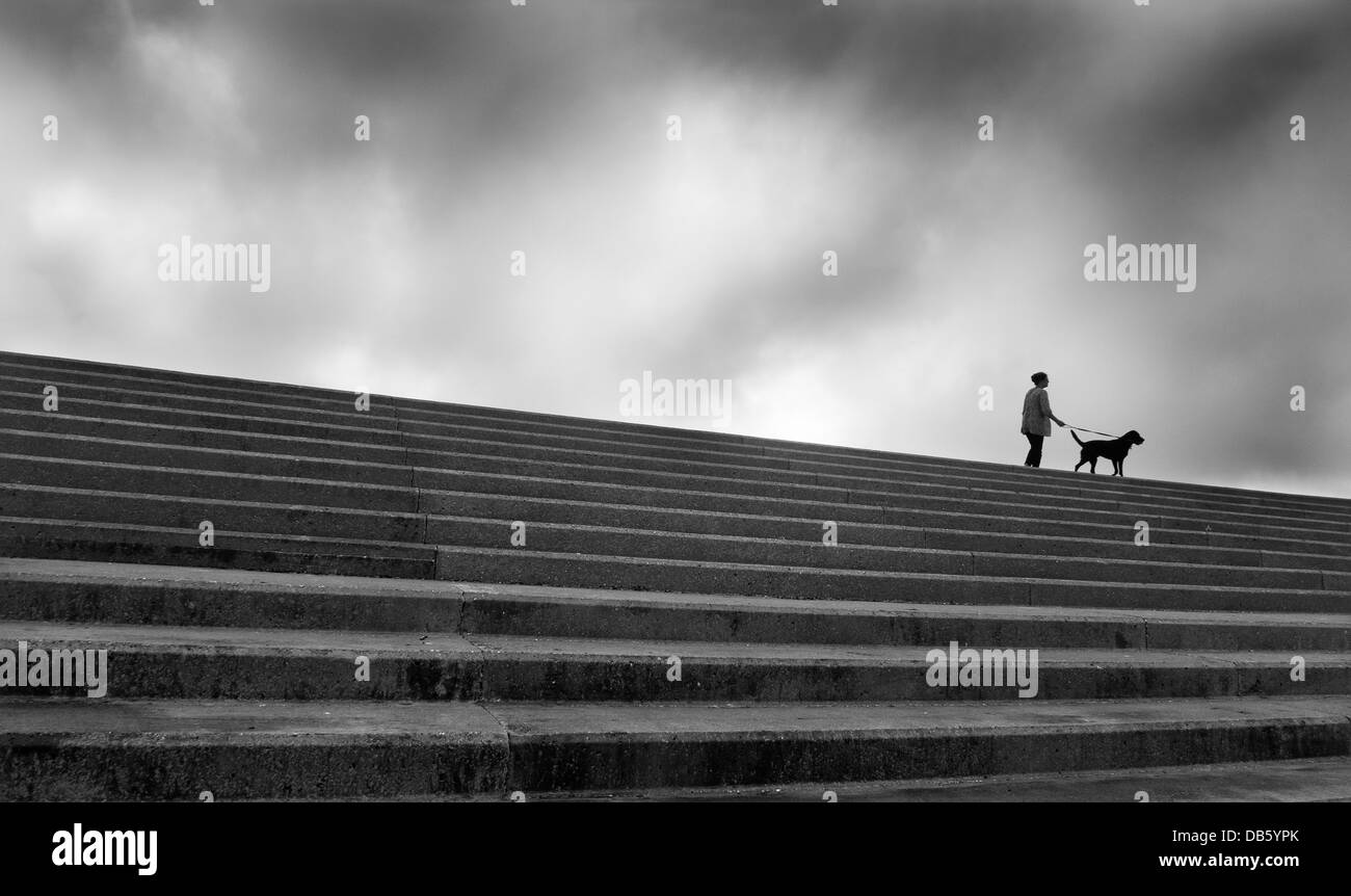 Woman walking her dog along the top of a concrete sea defence wall. Stock Photo