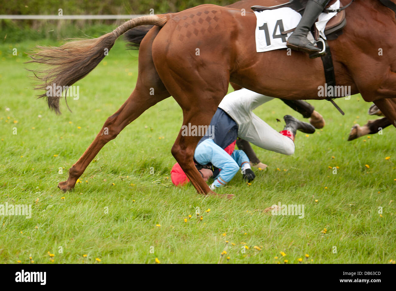 Jockey dragged by legs hires stock photography and images Alamy
