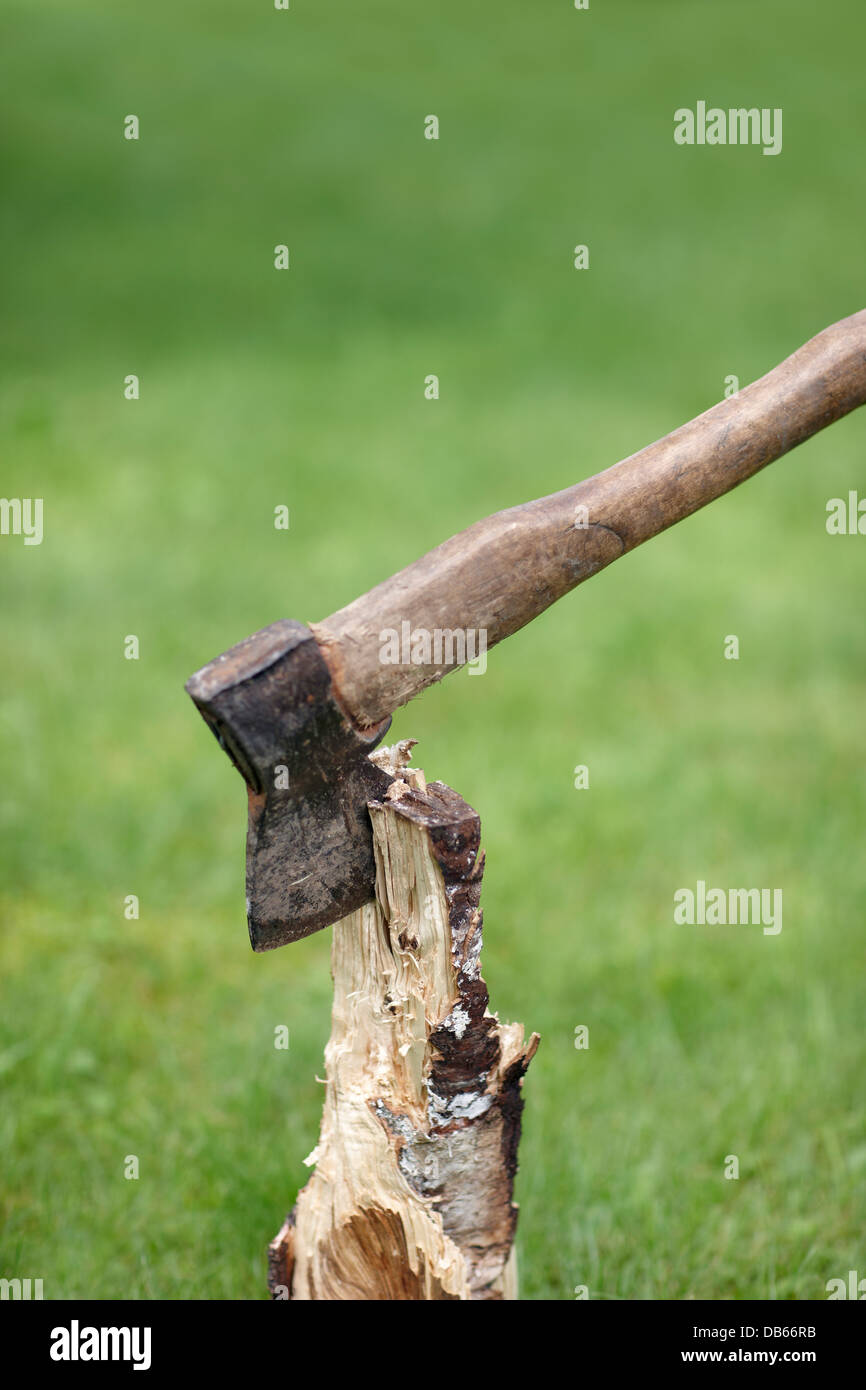 Axe splitting log. Stock Photo