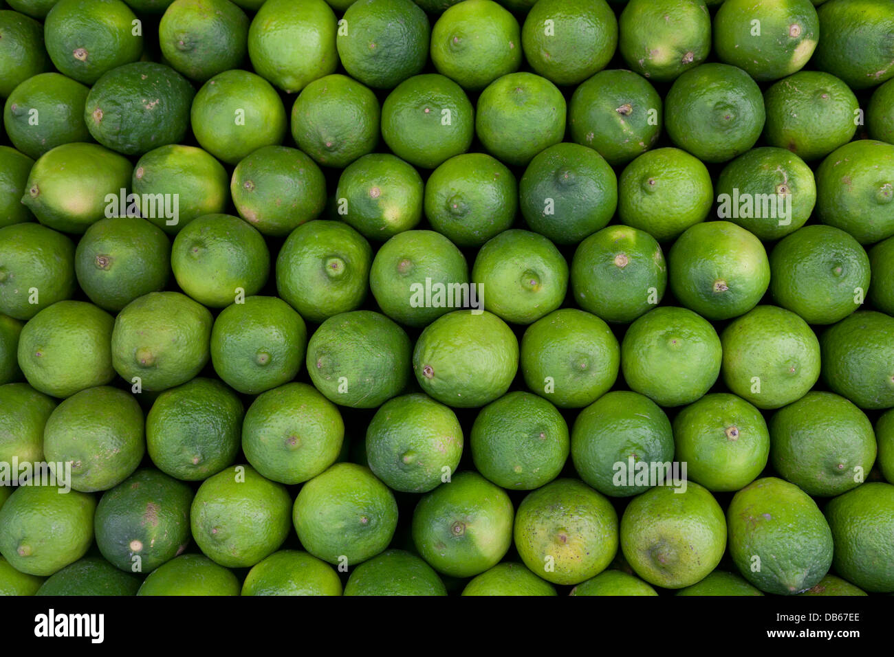 Fresh green limes full frame Stock Photo