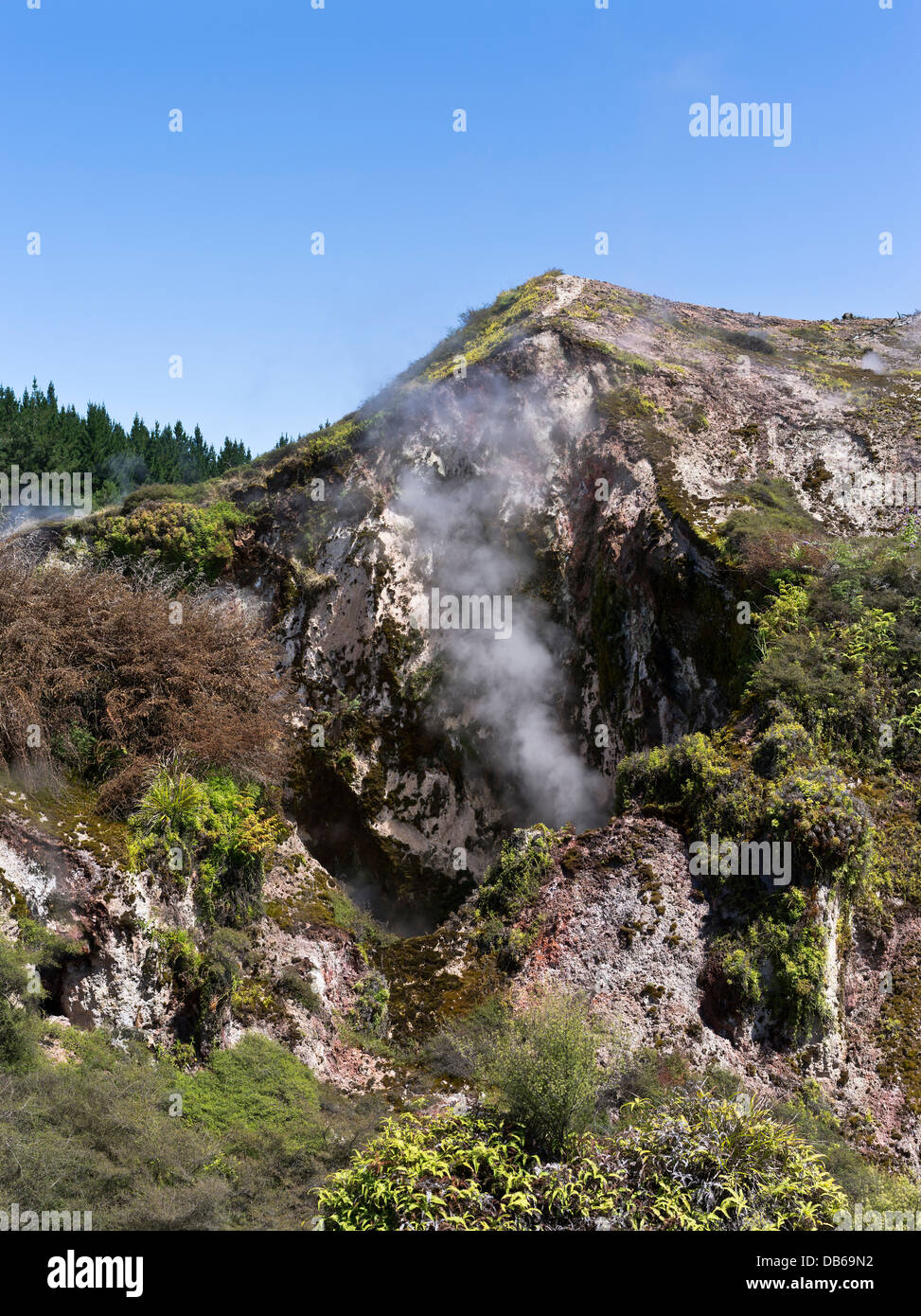 dh Craters of the Moon TAUPO NEW ZEALAND Geothermal Walk thermal landscape steam vents crater Stock Photo