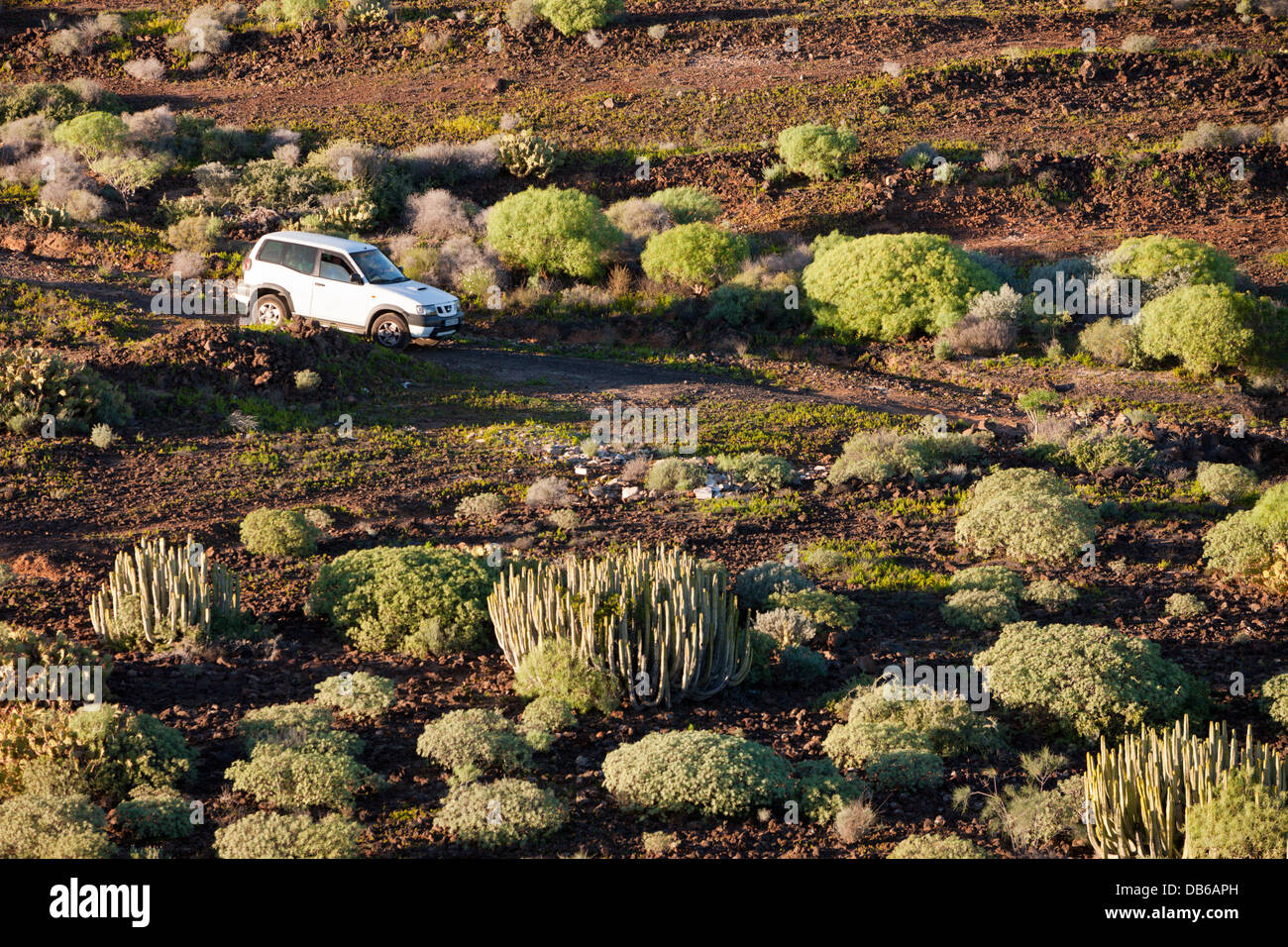 Tourists driving Car in Tenerife Wilderness, Tenerife, Canary Islands, Spain Stock Photo