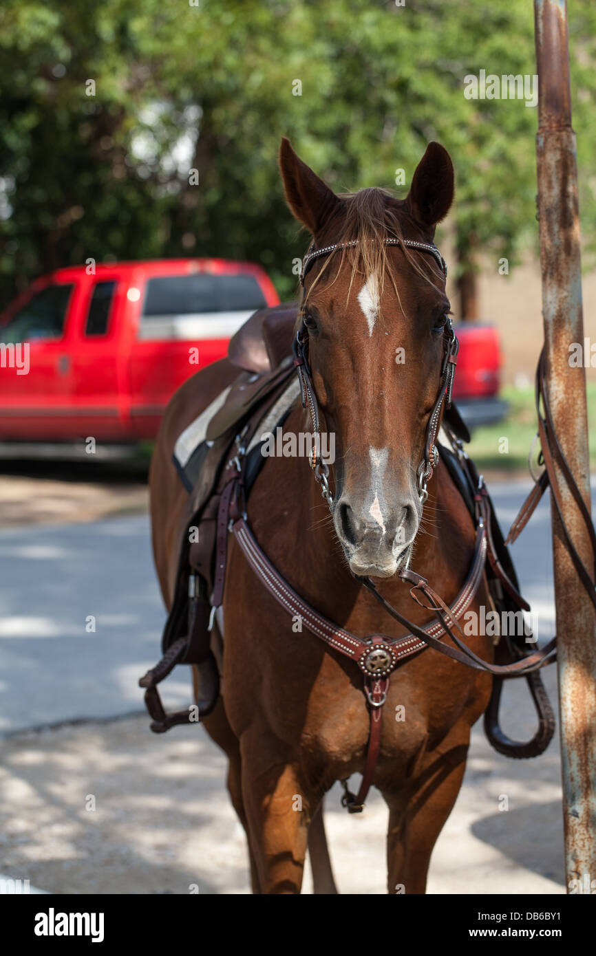 Transportation from Horse to Modern Truck Stock Photo