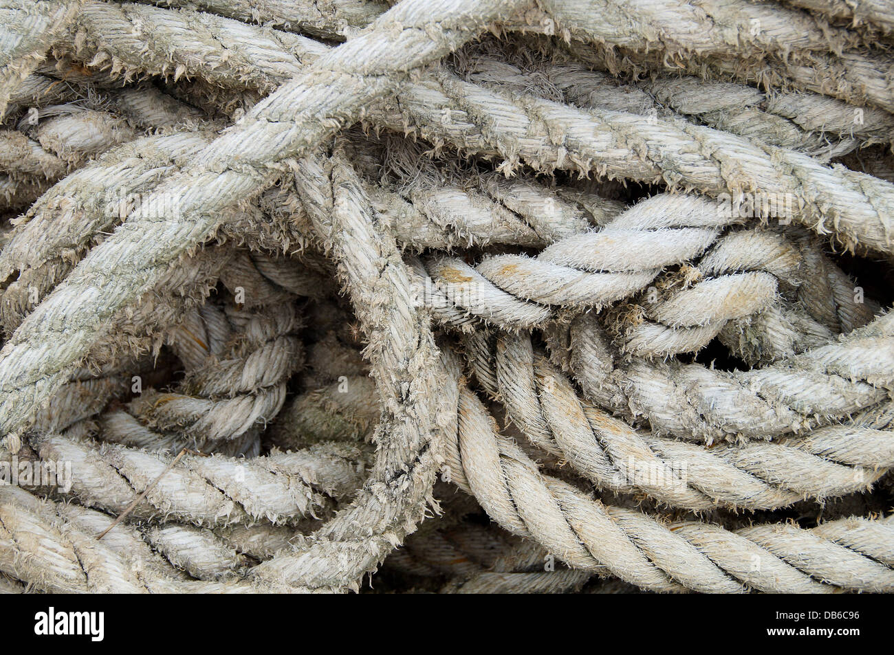 The portrait of rope for fishing Stock Photo - Alamy