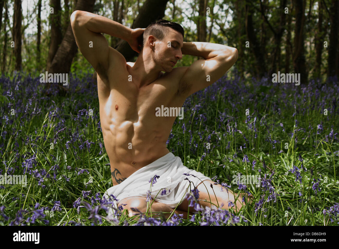 A male model sitting in a lavender field. Stock Photo