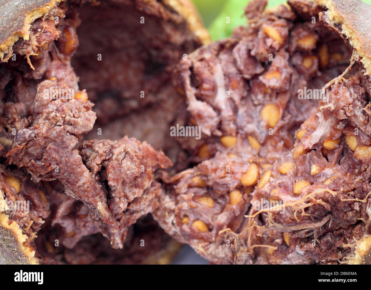 Wood apple bel fruit hires stock photography and images Alamy