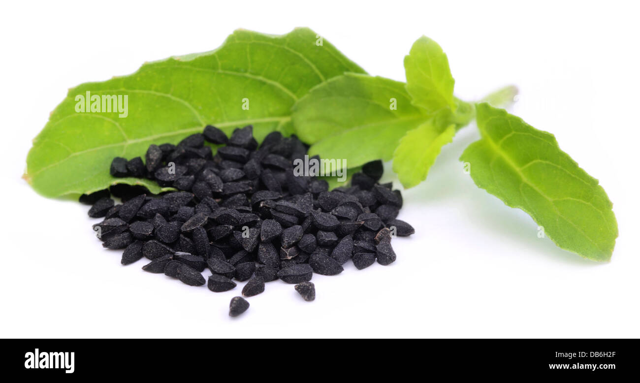 Nigella or Black cumin with medicinal leaf Stock Photo Alamy