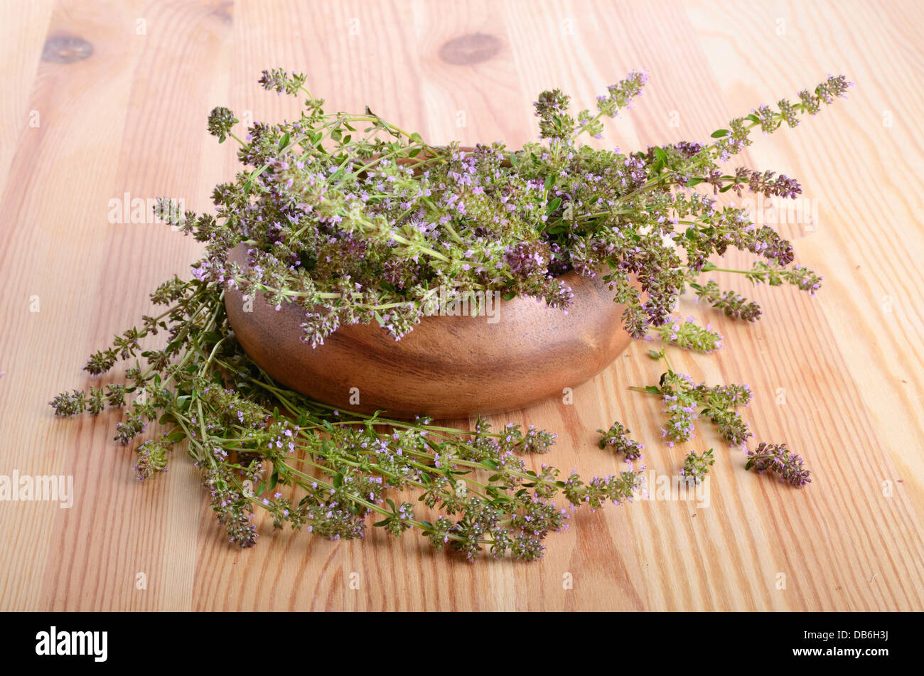 Thyme flowers close-up in a wood bowl on plank table background Stock Photo