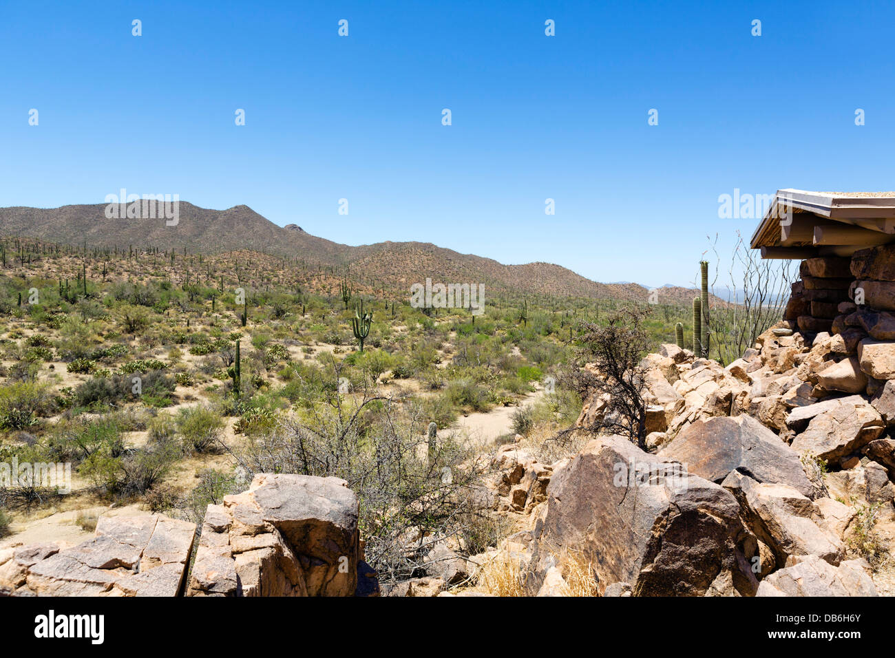 Saguaro National Park West, Tucson, Arizona, USA Stock Photo