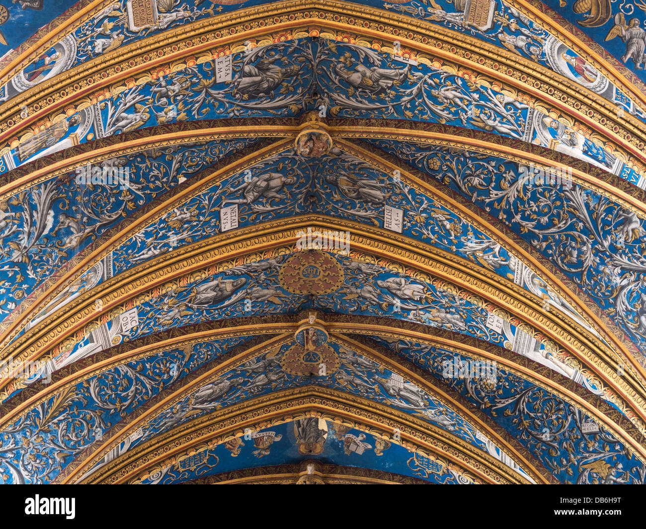 Detail of St Cecil Cathedral Ceiling. The ornate decorations in blue and gold cover the ceiling of the Cathedral. Stock Photo