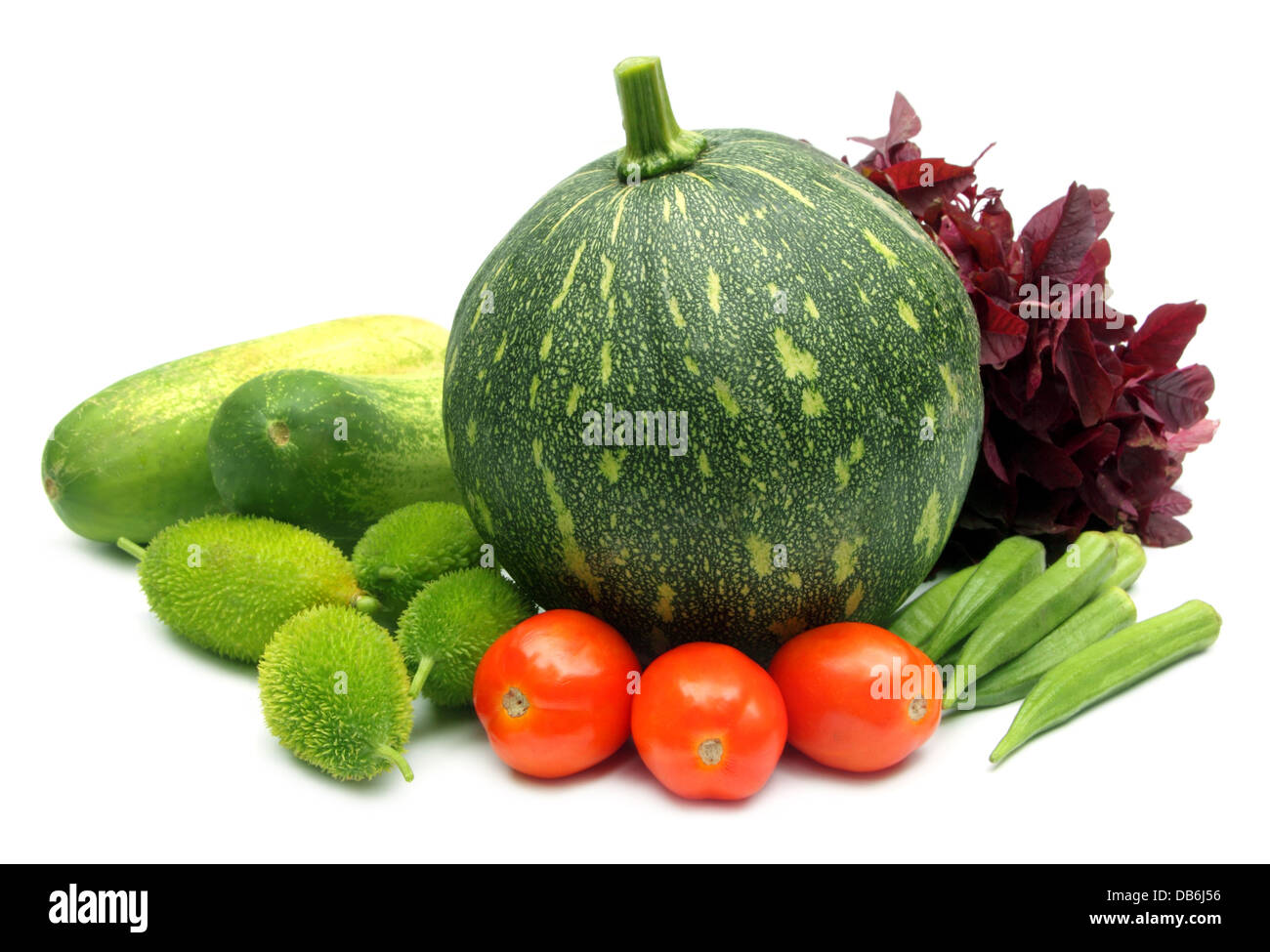 Fresh vegetables – green pumpkin, cucumber, tomato and okras, amaranth, kakrol Stock Photo