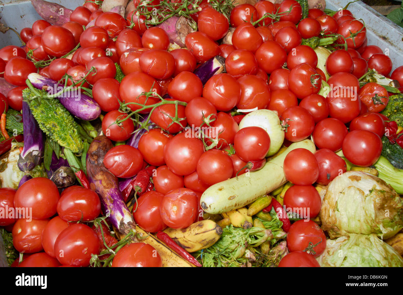 bacteria hires stock photography and images Alamy