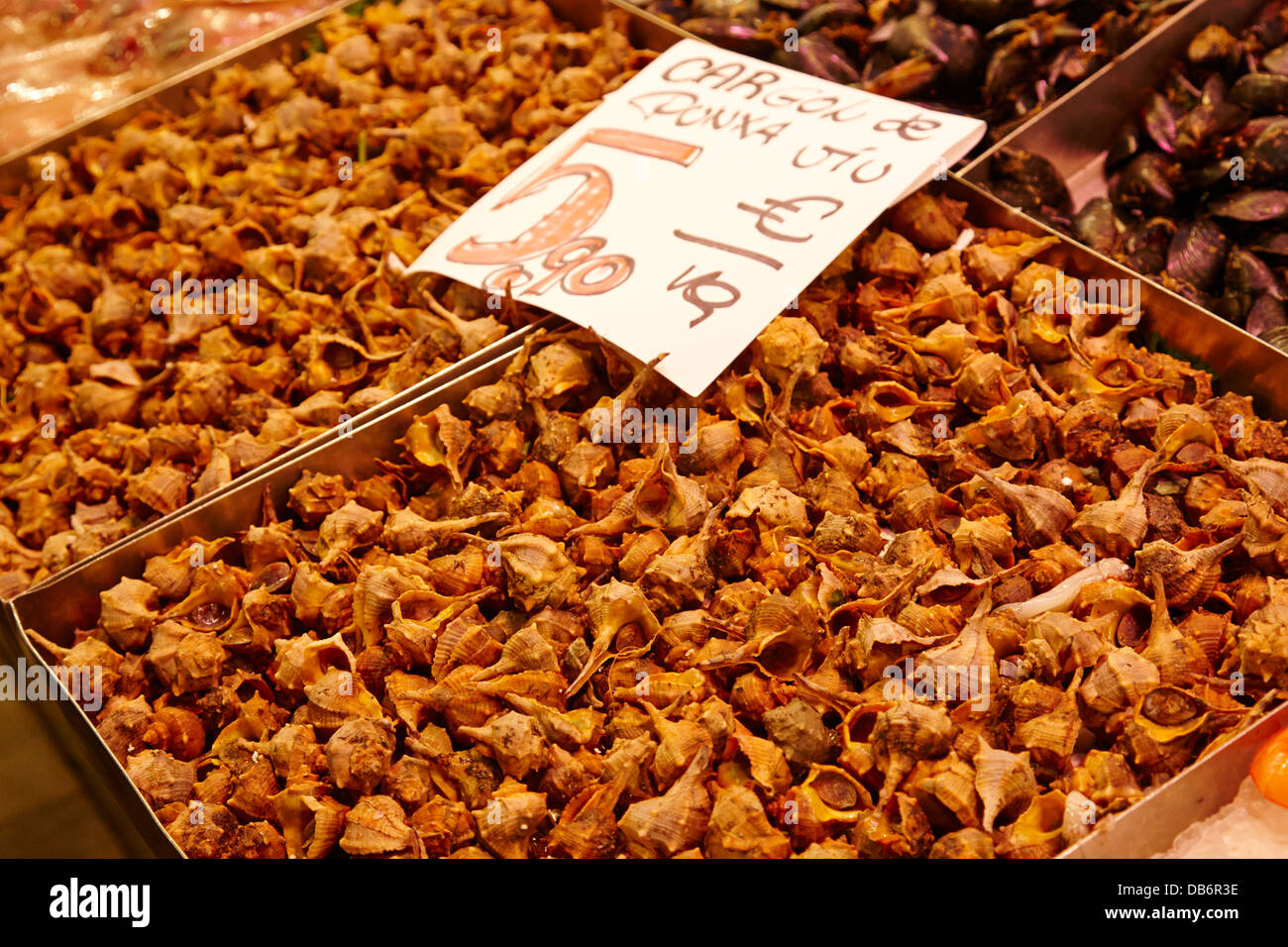 fresh snail shellfish for sale inside the la boqueria market in Barcelona Catalonia Spain Stock Photo