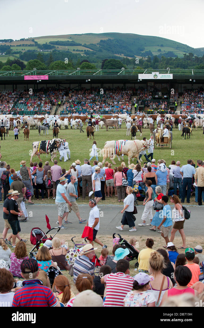 Llanelwedd (Nr. Builth Wells), Wales, UK. 24th July 2013. Prize Winning Stock Parade in The Main Ring of The Royak Welsh Showground. Credit:  Graham M. Lawrence/Alamy Live News. Stock Photo