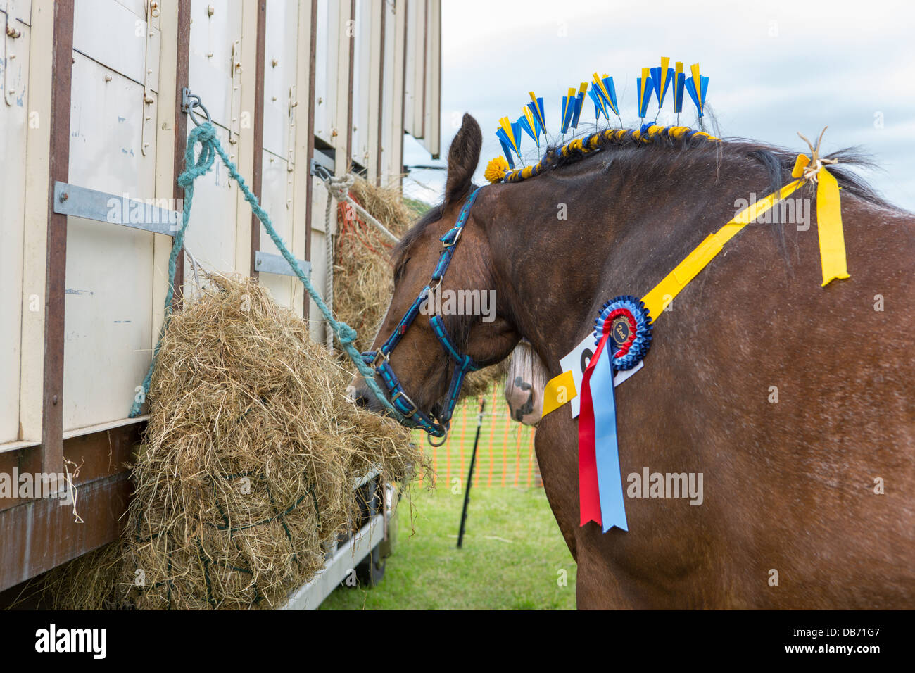 Horse competition at the Bury and District Agricultural Show Stock