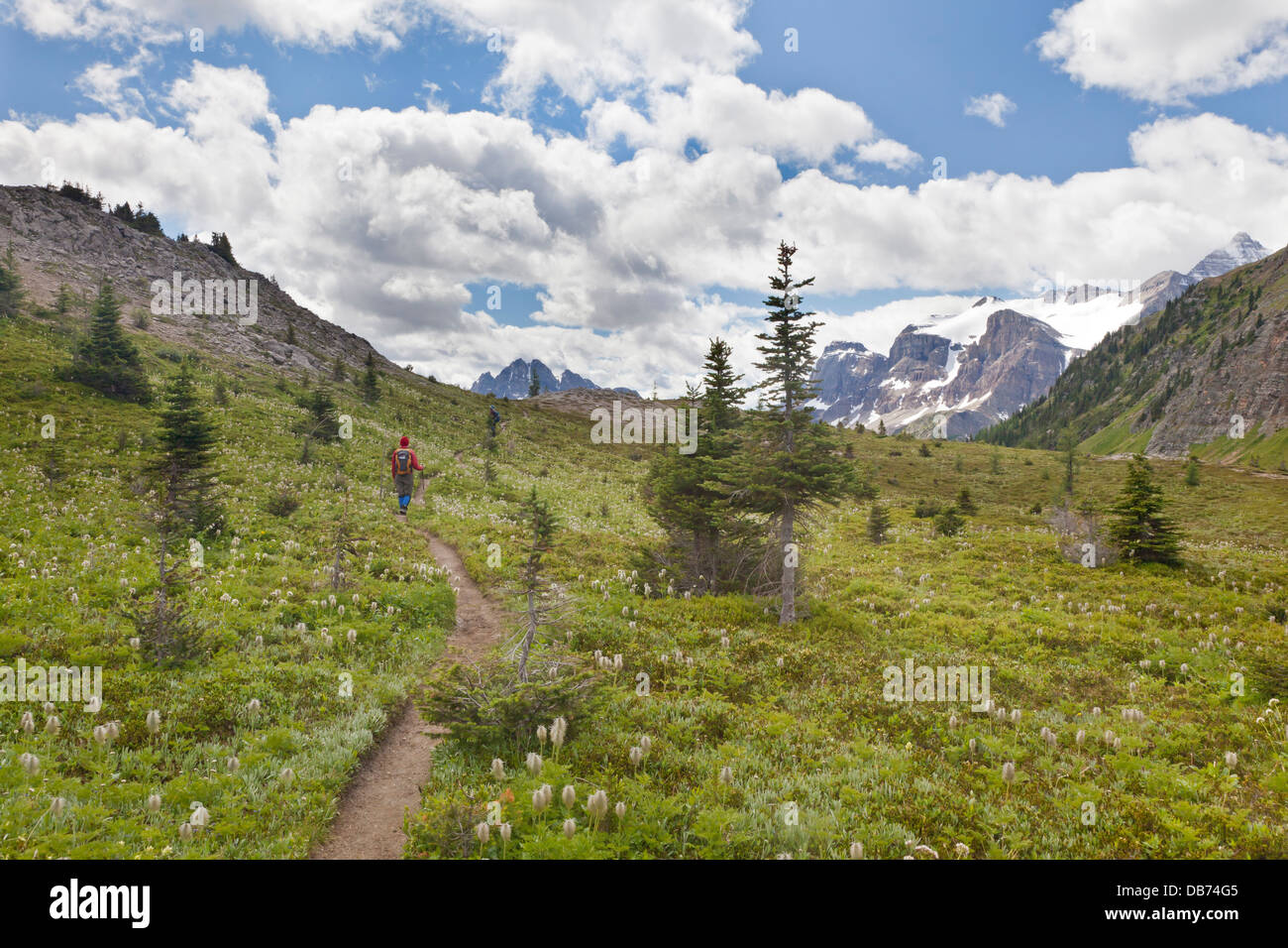 Canada, British Columbia, Mount Assiniboine Provincial Park. Hikers on trail through Wonder Pass. Stock Photo
