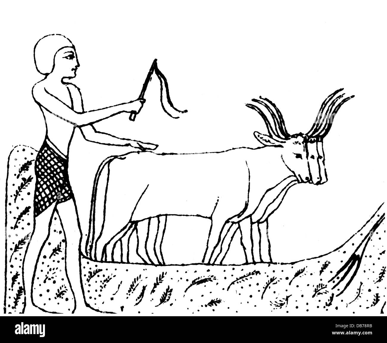 agriculture, agricultural work, threshing of grain, drawing, 19th century, after mural, Thebes, Egypt, circa 1000 BC, people, farmer, farmers, peasants, peasant, animal, animals, ox, oxen, bovine, labour, labor, working, work, labouring, laboring, labour, labor, prehistory, prehistoric times, New Kingdom, historic, historical, man, male, ancient world, men, Additional-Rights-Clearences-Not Available Stock Photo