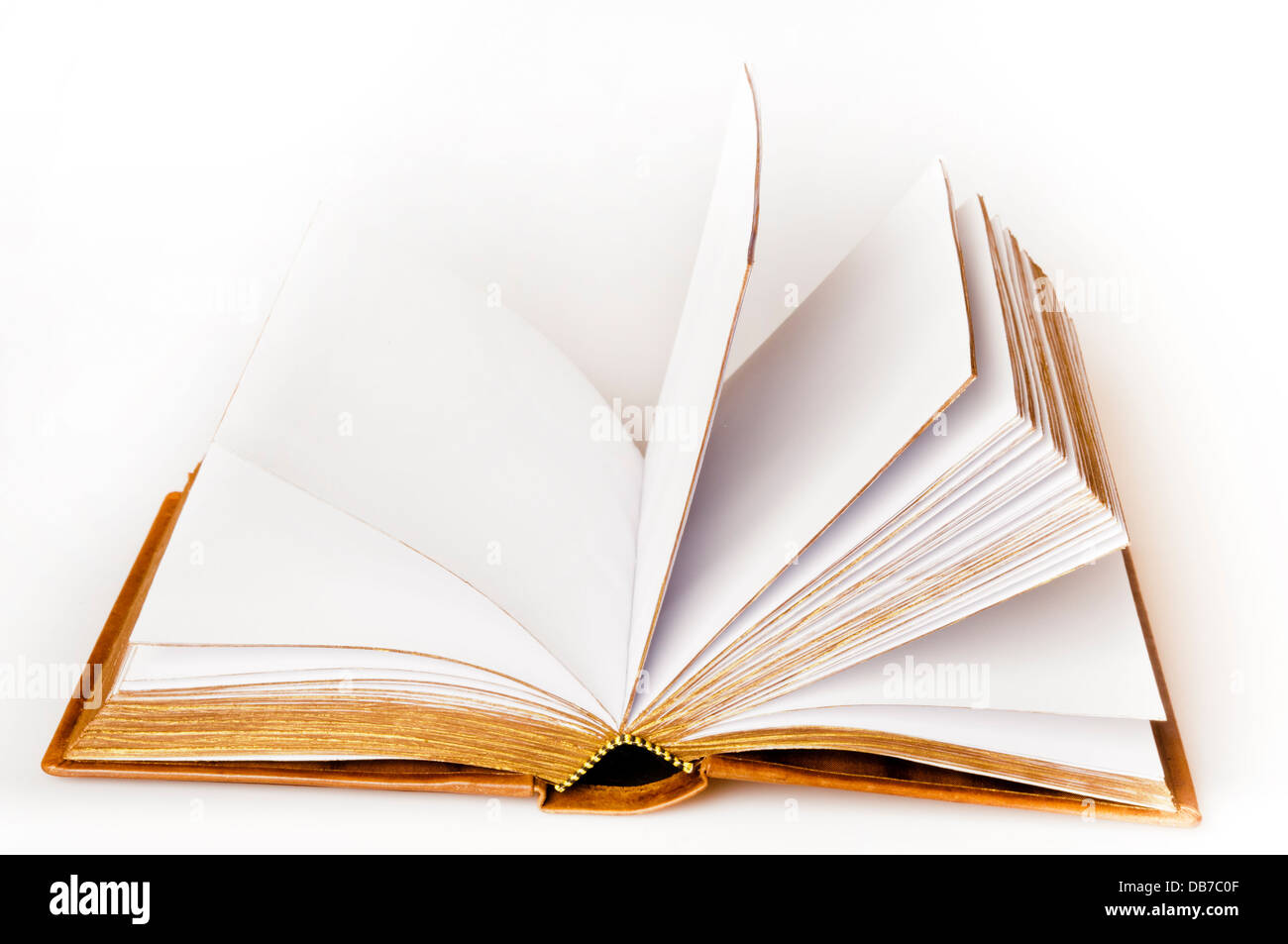open book, blank pages Stock Photo