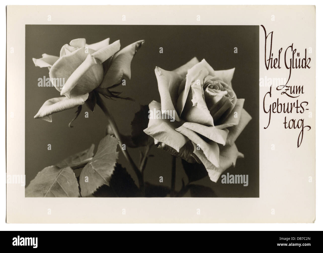 festivities, greetings card birthday, 'Viel Glück zum Geburtstag' (Good luck for your birthday), roses, picture postcard, Germany, 1930s, Additional-Rights-Clearences-Not Available Stock Photo