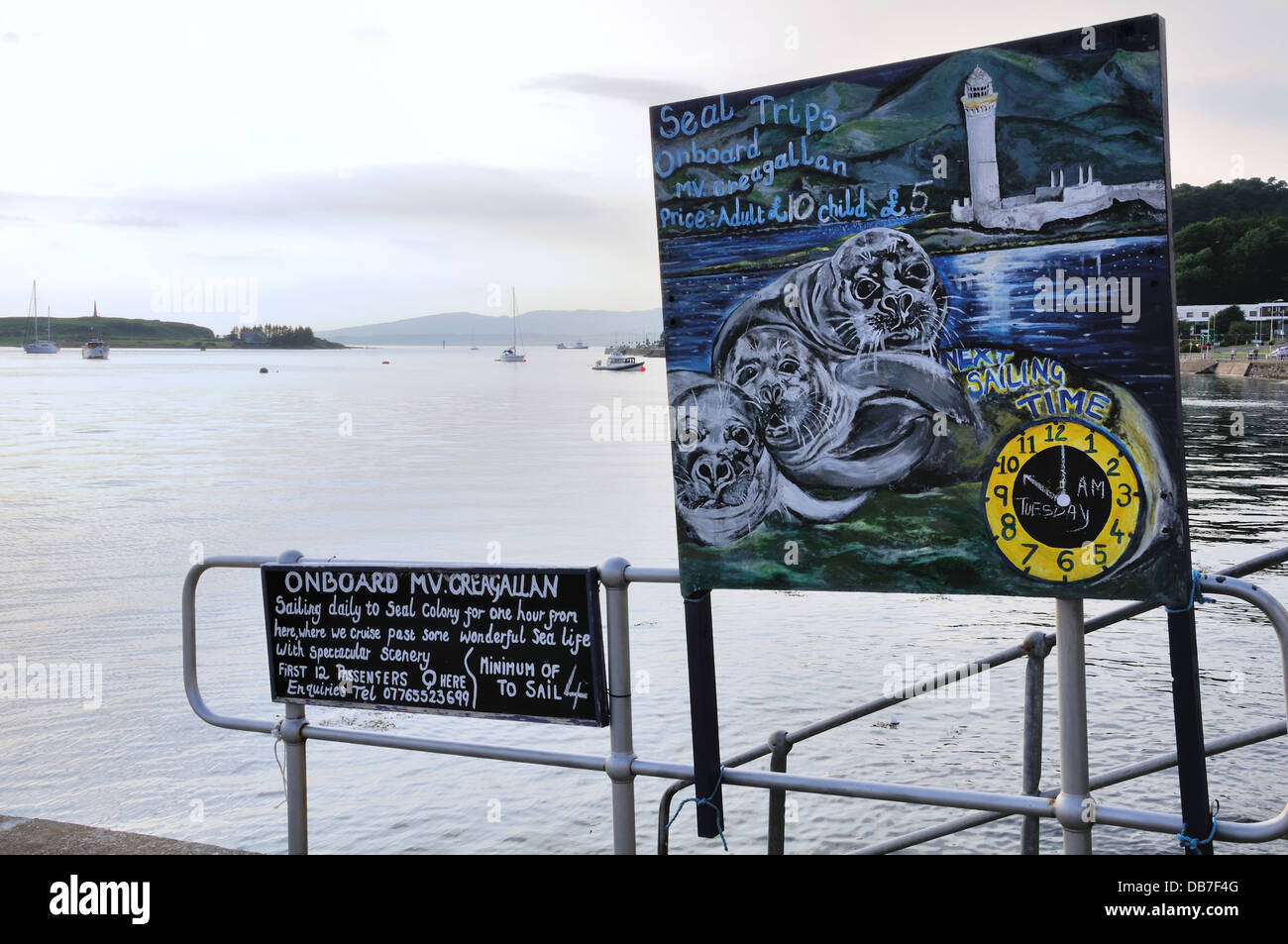 Sign advertising trips to see wildlife off the coast of Oban, Argyll, Scotland, UK Stock Photo