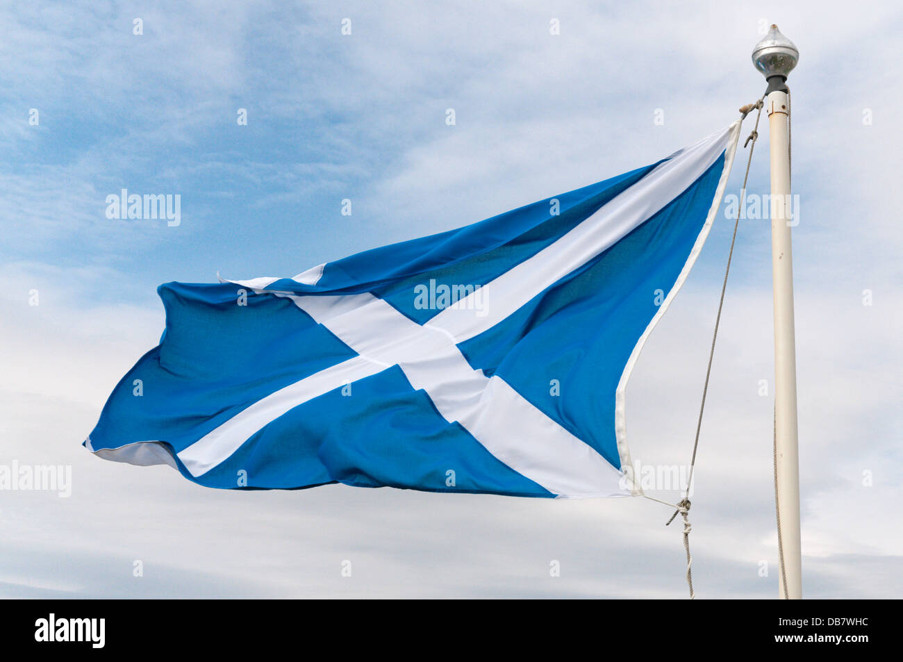 Scottish flag. Stock Photo
