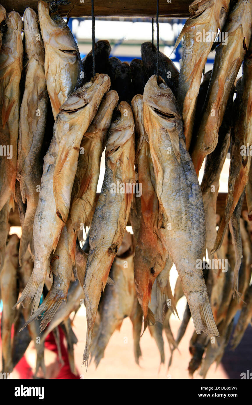 STOCKFISH - PMF Africa Foods