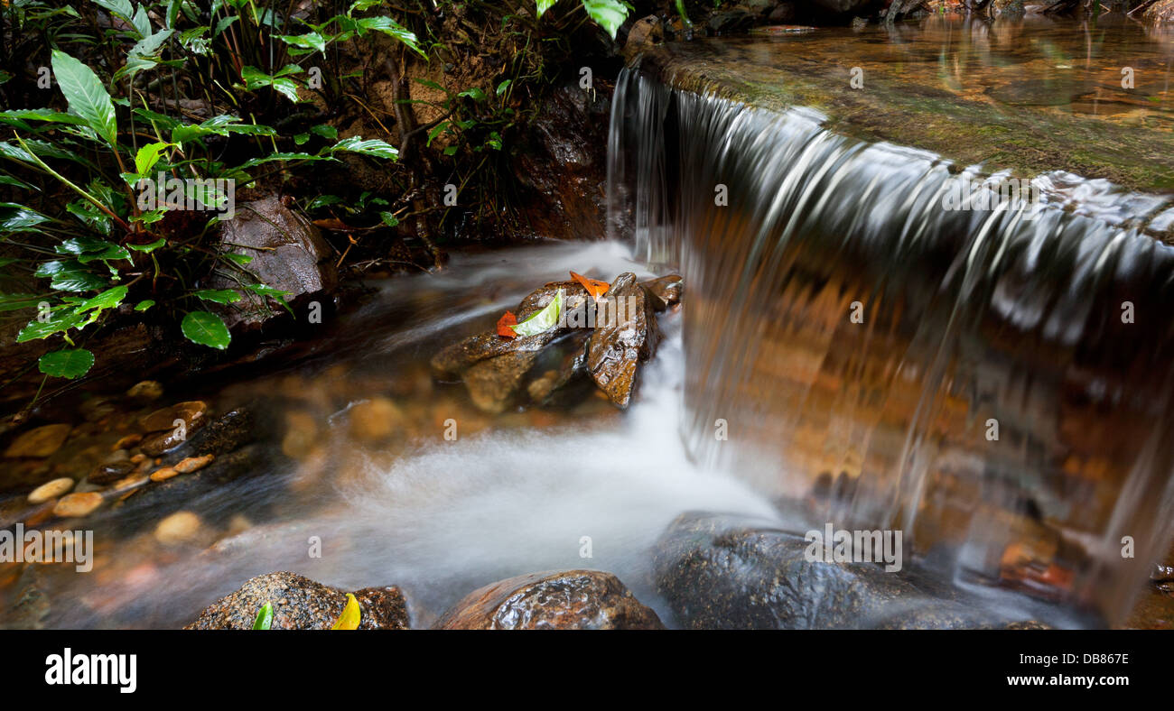 Clear water flowing over rocks in a rainforest stream, Mount Kinabalu National Park, Sabah, Malaysia Stock Photo