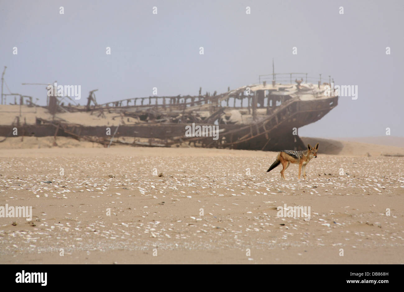 Shipwreck namib desert namibia hi-res stock photography and images - Alamy