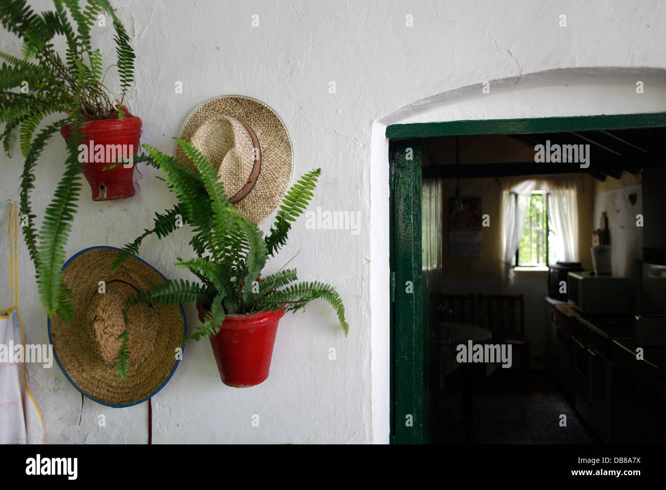 white hats to decorate